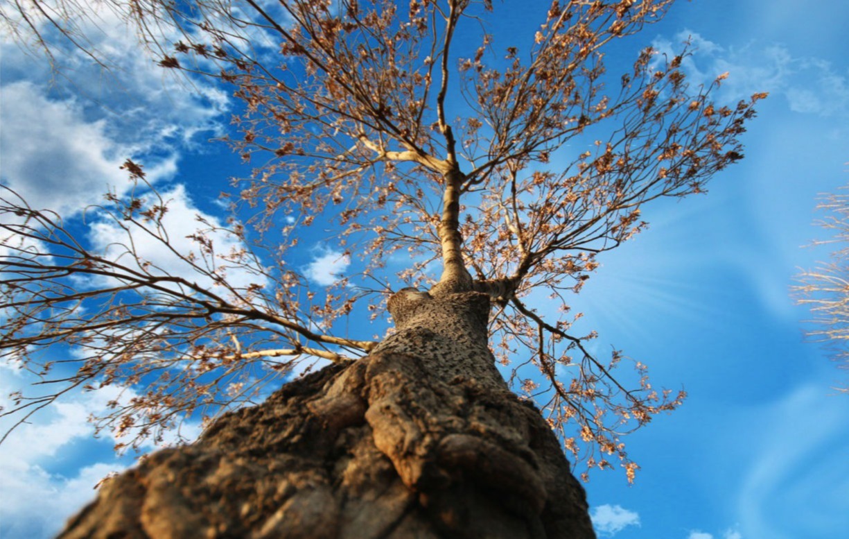 Výroba je technicky i personálně vybavena na produkci převážně atypického nábytku