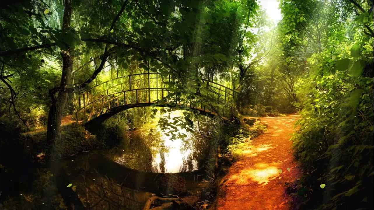 Samostatný ateliér, Podpora zákazníků... 